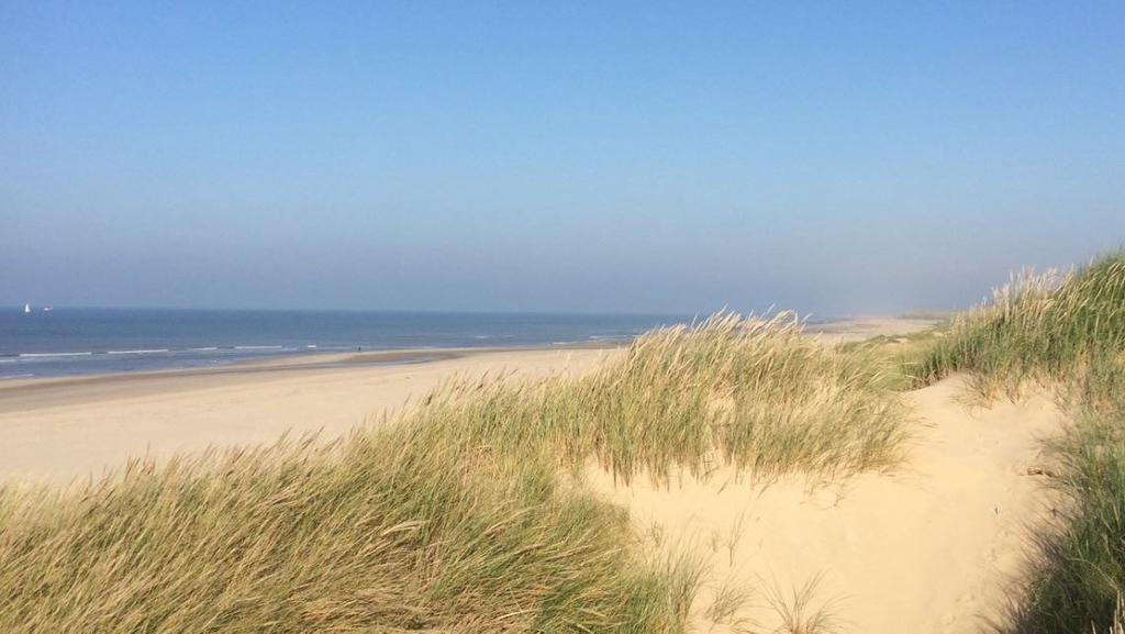 De Blaauboer, Vakantiehuisje Egmond aan Zee Quarto foto