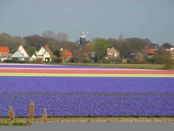 De Blaauboer, Vakantiehuisje Egmond aan Zee Quarto foto