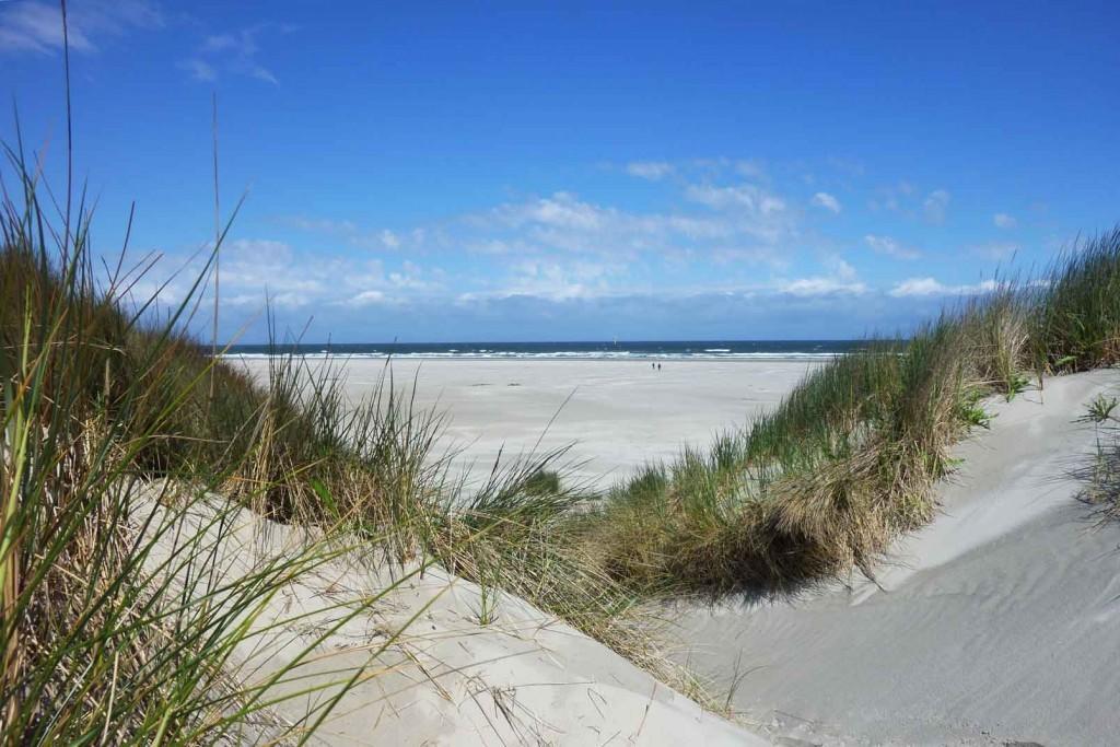 De Blaauboer, Vakantiehuisje Egmond aan Zee Quarto foto